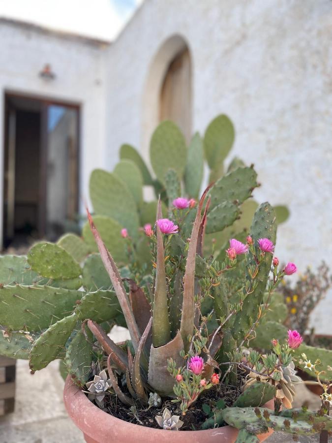 Casa Trieste Alberobello Buitenkant foto